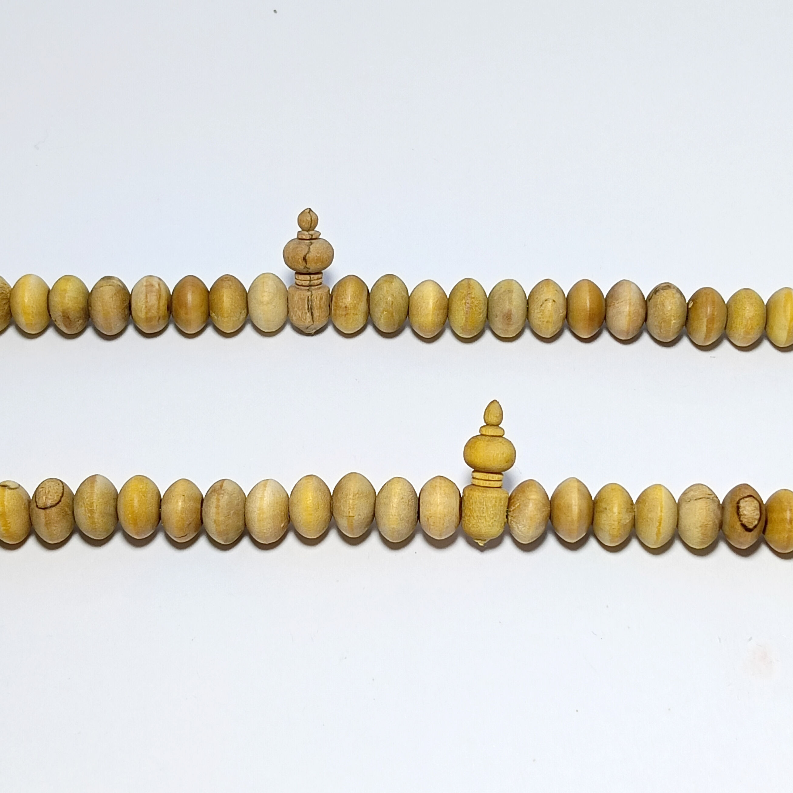 Cendana Kupang Tasbih - 8mm 3